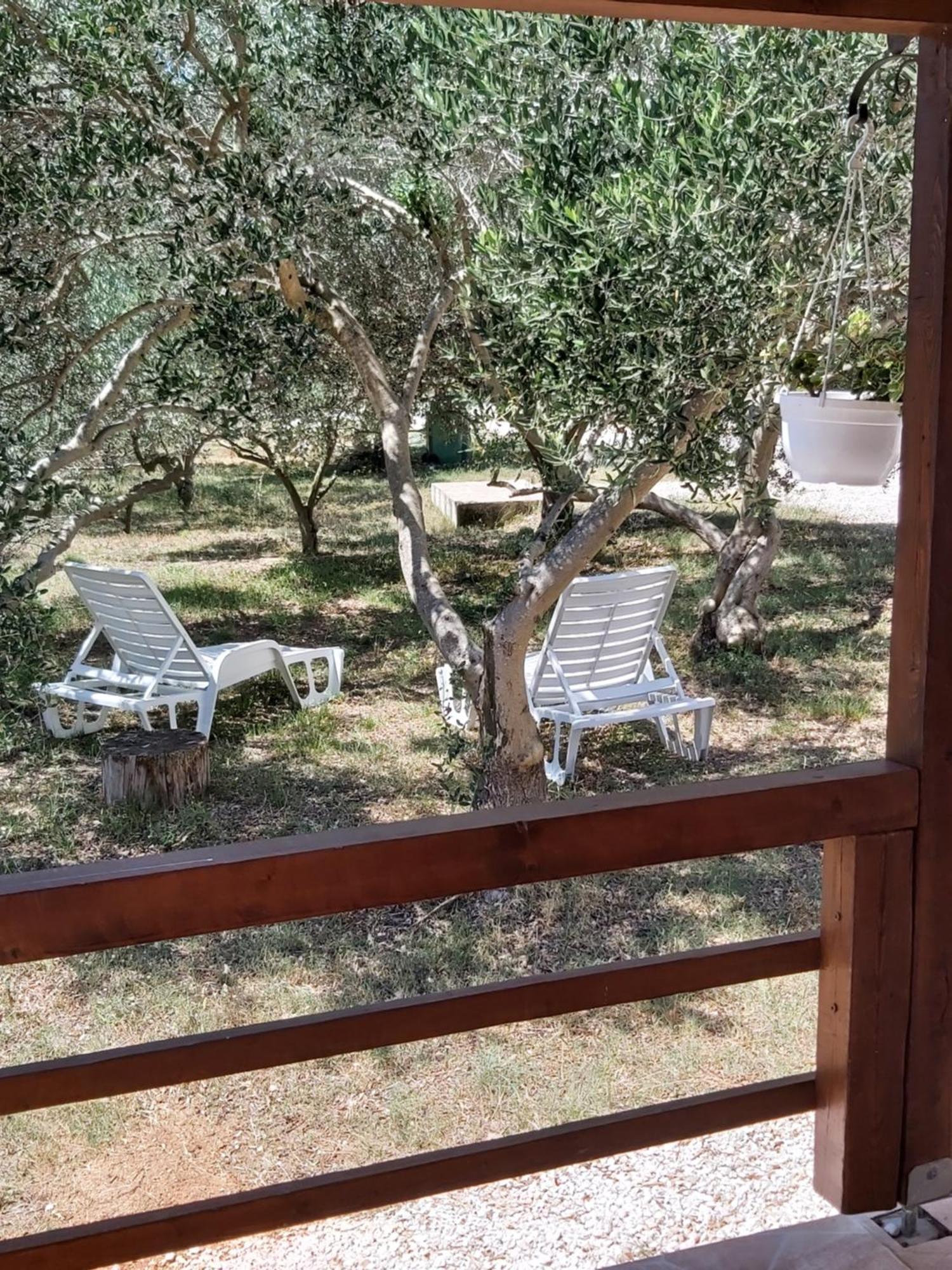 Apartment Niko Vir Rom bilde